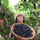 김철수농장 이미지