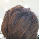 준헤어랭귀지 네이버블로그