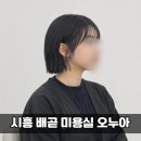 배곧 품 태권도장 | 시흥 배곧 미용실 오누아｜단발 매직, 테슬컷 솔직후기