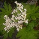 삼단지농장 이미지