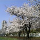 석촌호수로 이미지