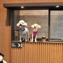 열린매장5 이미지
