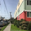 [LA여행🇺🇸] : LA 우당탕탕 둘째날 이야기_ 숙소 추천 및 썰범벅2