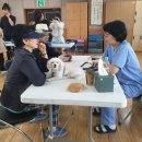 서울종합동물병원 이미지