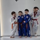 뿌리깊은나무 국기태권도 이미지