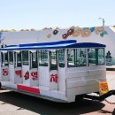 동백 | 여수 오동도 아이랑 여행 후기｜동백열차, 전망대, 공영주차장 정보