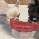 (주)우리덴탈 이미지