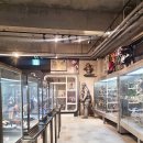 캡틴제주 | 비오는날 제주도 가볼만한곳 실내 비올때 제주 피규어뮤지엄