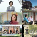 금송아지 이미지