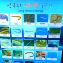 (주)경포아쿠아리움 이미지