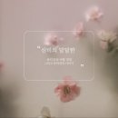 마곡역마사지 추경출더편안한패시브 스트레칭 후기