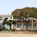 명문초등학교 이미지