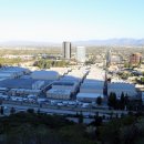 지혜의 나무 이미지