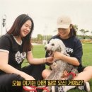 김금자 농장 네이버블로그