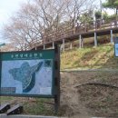 장미 공중화장실 | 안양천의 연둣빛 새순이 돋아나는 수변생태순환길