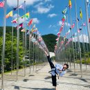 명품태권도장 이미지