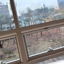 루하's 펫살롱 | 감각적인 변신의 시간, 나만의 스타일을 찾아서