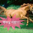 청춘투어 이미지