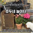 호두네 | [반려동물] 천연잔디 경기도 애견카페 서울근교 30분 호두네놀이터 방문 후기