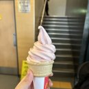 맥도날드 스트로베리콘 가격 내돈내산 솔직후기 칼로리 서울둔촌dt점