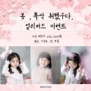 스튜디오봄 네이버블로그