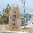 죽연회관 Daum카페