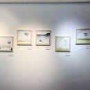 시우그리다 이미지