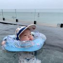 알록네이처 이미지