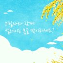 미세스초이