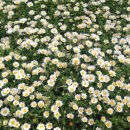 장미공원자전거대여소 이미지