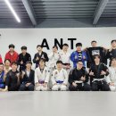 블랙벨트 체육관 이미지