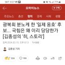 광복회 분노케 한 일제 옹호 후보... 국힘은 왜 이리 당당한가 이미지