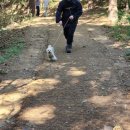 서봉산 산림욕장 1 이미지