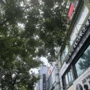 친절했던 신림동필라테스 엘리제이 필라테스 개인레슨 체형교정 받기