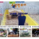 스머프팜 이미지