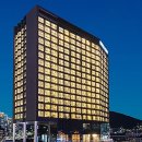 스테이인 호텔 봄 이미지