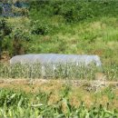 토진2리마을회관 이미지