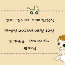 민창식 카카오 검색결과