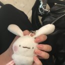 네일비앙떼
