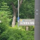 국립 횡성 숲체원 솔직후기