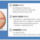 디에이치축산 | 쿠팡 가농 금계란 DHA 오메가-3 계란 리뷰 후기