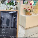 도도플레르 - 구로구 중앙로1길 42 | 도도플레르