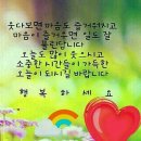 방글이마트