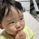 땡이네과일가게