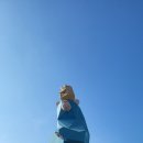 (주)백락온