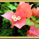 오창 충북 농업기술센터에서 이미지