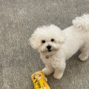 곡식이네 수제간식 이미지