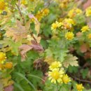 해비치목장 이미지