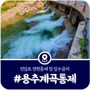 용추계곡 정각 옆 공용 이동식화장실 | [용추계곡 전면통제] 물놀이 출입금지에 따른 대체 장소 안내 (2025)