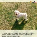 미소주유소 이미지